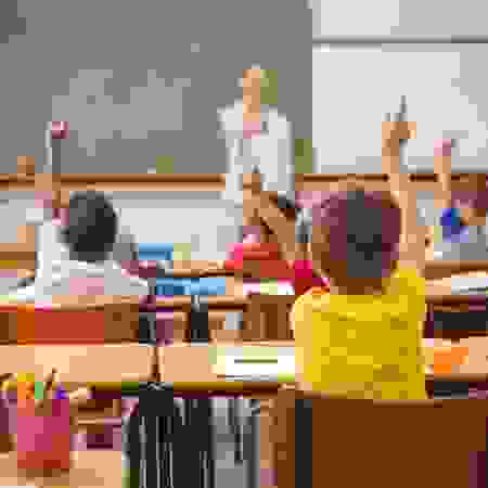 Ручка перьевая Schneider "Wavy A" грип, розовый корпус, европодвес